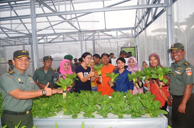 Panen Raya Sayuran Hidroponik Korem Makutarama